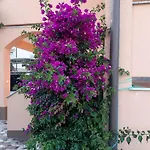 Rajka Apartment Lopar