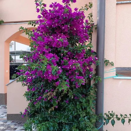 Rajka Apartman Lopar