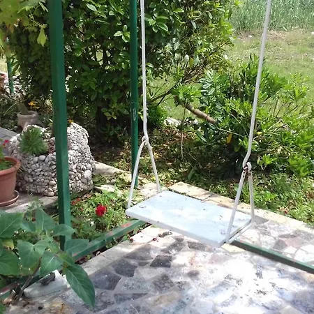 Rajka Lopar