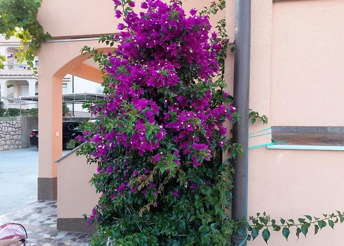 Rajka Apartment Lopar